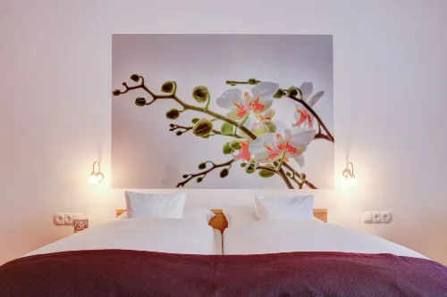 Ina Hotel Consul Phòng Photos