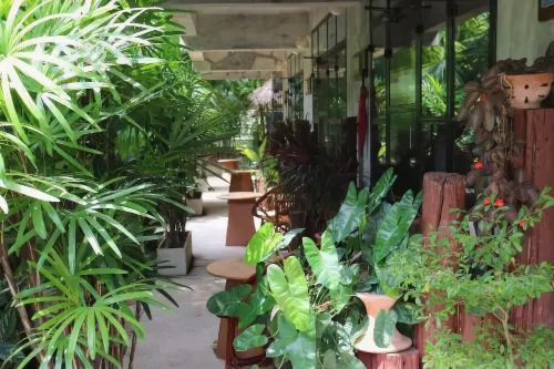The Picturebook Guesthouse Espaces publics Photos