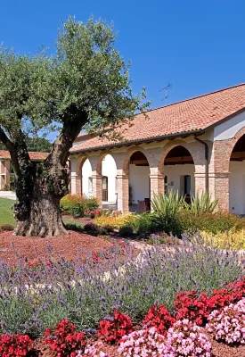 Annia Park Hotel Venice Airport Esterni Photos