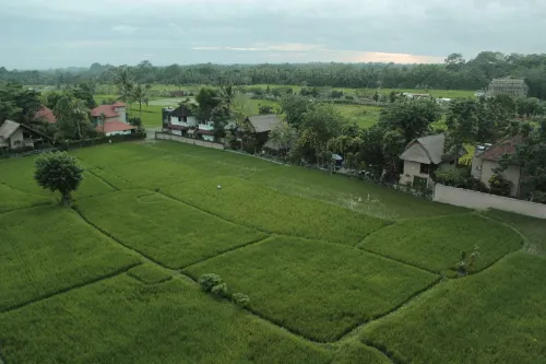 The Evitel Resort Ubud Dekat Hotel Photos
