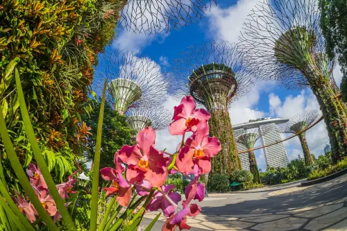 Grand Hyatt Singapore À proximité de l'hôtel Photos