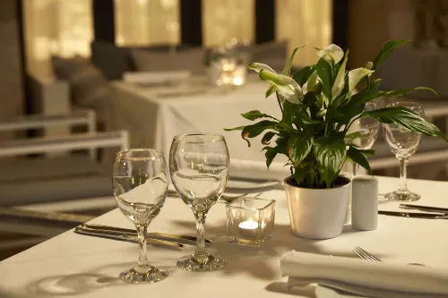 Mon Repos Palace - Adults Only Dining Photos