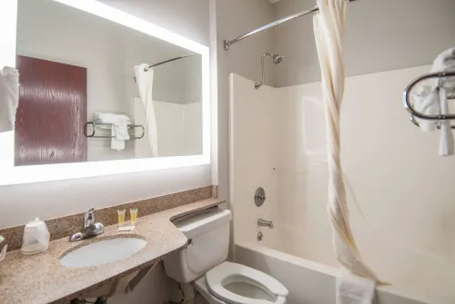 Microtel Inn & Suites by Wyndham Scott Lafayette Photos