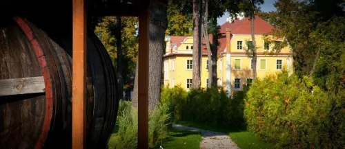 Pałac Wiechlice - Hotel, Restaurant, Spa Espaces publics Photos