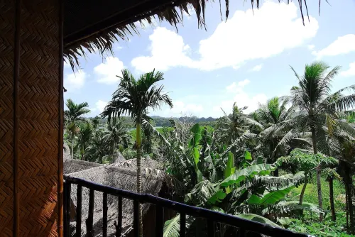 Palau Plantation Resort Camere Photos