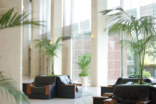 Marroad International Hotel Narita Aree comuni Photos