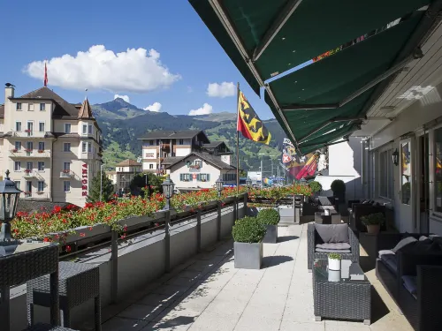 Hotel Bernerhof Grindelwald Public Areas Photos