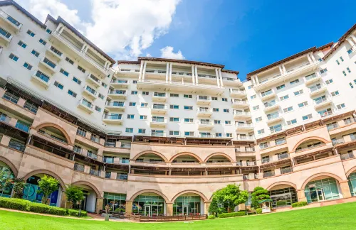 Stx Resort Featured Photos
