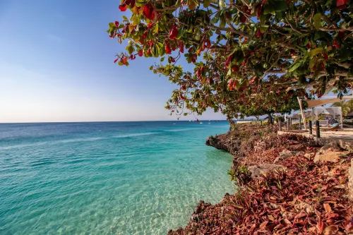 Royal Zanzibar Beach Resort Near Hotel Photos