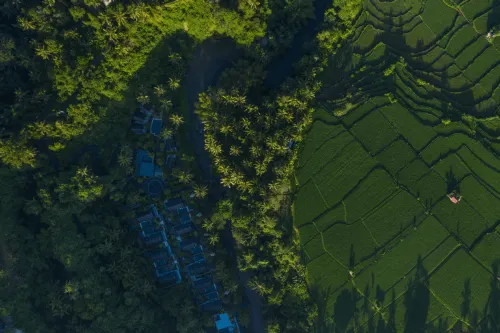 The Samaya Ubud In der Nähe des Hotels Photos