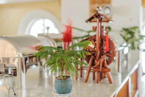 Hotel President Đà Lạt Ăn uống Photos