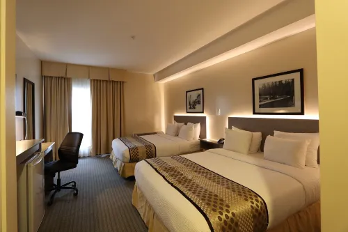 Days Inn by Wyndham Surrey Rooms Photos