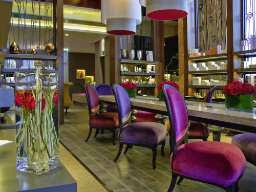 Sofitel London St James Hotel Public Areas Photos