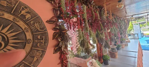 Grand Yayla Hotel Photos