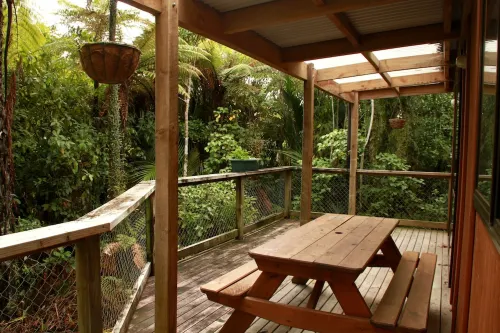 Te Nikau Retreat Öffentliche Flächen Photos