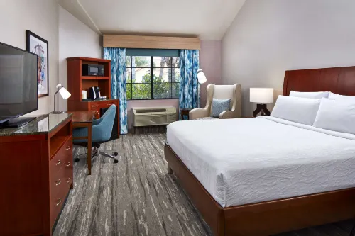 Hilton Garden Inn Valencia at Six Flags Chambres Photos