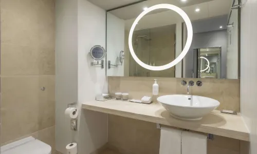 The Morrison Dublin, Curio Collection by Hilton Chambres Photos