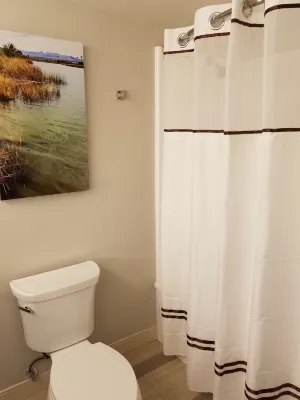 Avi Resort & Casino Rooms Photos