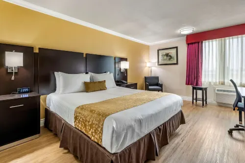 Best Western Plus South Bay Hotel Featured Photos