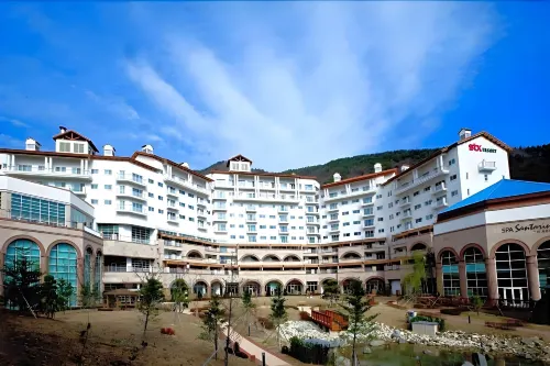 Stx Resort Featured Photos