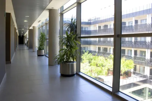 Thalasia Costa de Murcia Espaces publics Photos