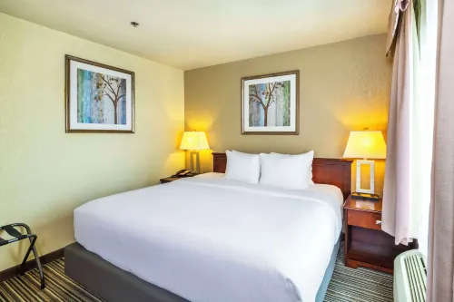 Quality Inn & Suites Yorkton Kamar Photos
