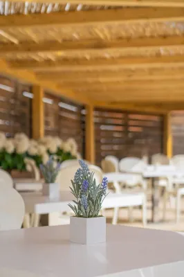 Mercure Olbia Restauration Photos