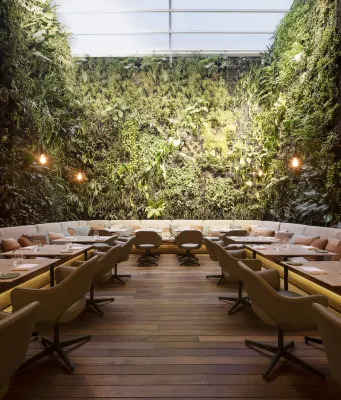 Emiliano Rio Dining Photos