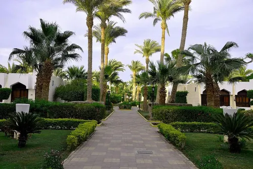 منتجع ريجينا ريزورت الأماكن العامة Photos