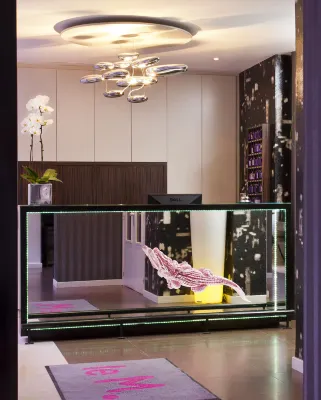 Hôtel Wyld Saint Germain Общественные зоны Photos
