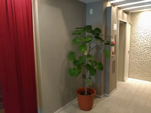 Hotel Axas Nihonbashi Aree comuni Photos