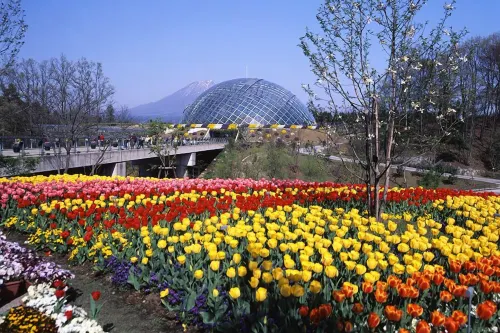 Yonago Washington Hotel Plaza Circondario Photos