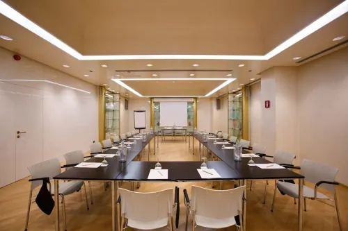 Hotel Albani Roma Business Photos