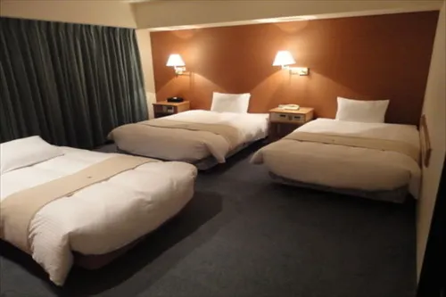 Green Rich Hotel Nishitetsu Ohashi Ekimae Chambres Photos