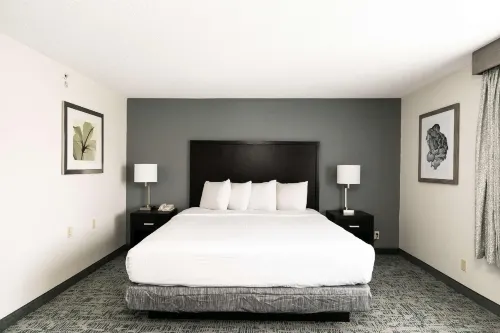 Best Western Inn & Suites San Diego – Zoo/SeaWorld Area Camere Photos