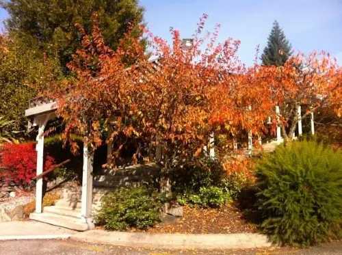 Holiday Inn Queenstown Frankton Road Circondario Photos