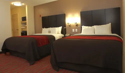 Comfort Inn Los Angeles near Hollywood Phòng Photos