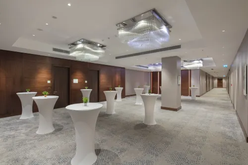 Holiday Inn Istanbul - Tuzla Bay Aree comuni Photos