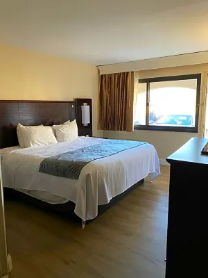 Best Western Bar Harbour Inn Photos