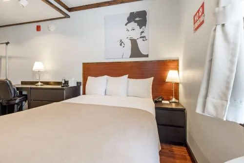 LIC Hotel Rooms Photos