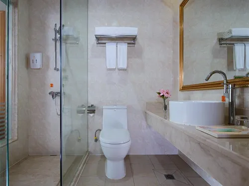 Venus International Hotel (Shengping Subway Station) Photos