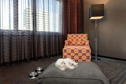 Sheraton Essen Hotel Chambres Photos