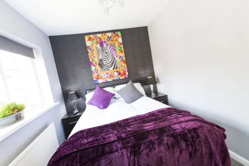Verve Hotel Camere Photos