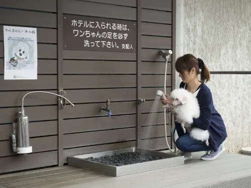 Izumigo Toba Dog Paradise Hotel Photos
