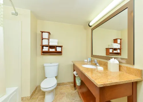 Hampton Inn Chicago/Carol Stream (Wheaton Area) Chambres Photos