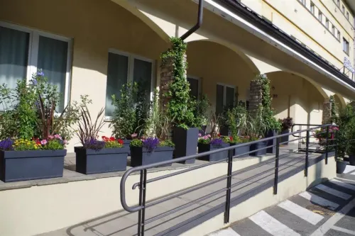 Best Quality Hotel La Darsena Aree comuni Photos