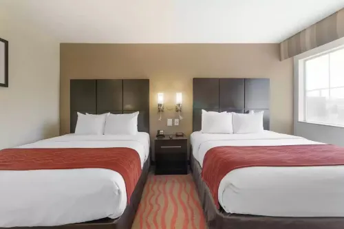 Comfort Inn Los Angeles near Hollywood Photos