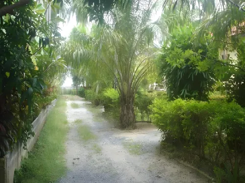 Samui Natien Village Near Hotel Photos