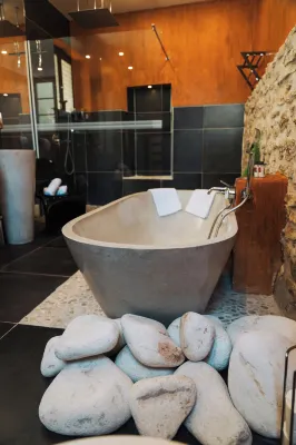 Palais Aoma, hôtel Particulier de Luxe en Provence Rooms Photos
