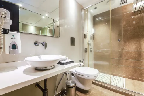 Hotel Grand Godwin - Near New Delhi Railway Station - Free Airport Pick-up Photos